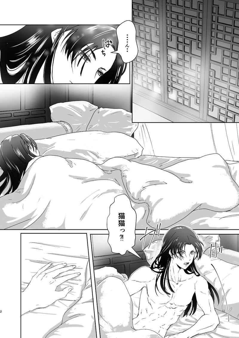 Casada Hòu cháo - Kusuriya no hitorigoto Nipples - Page 2