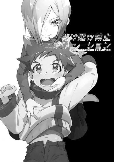 Kinshi Evolution 4