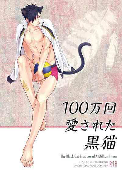 Hyaku Man Kai Aisareta Kuro Neko | 爱了一百万次的黑猫 0