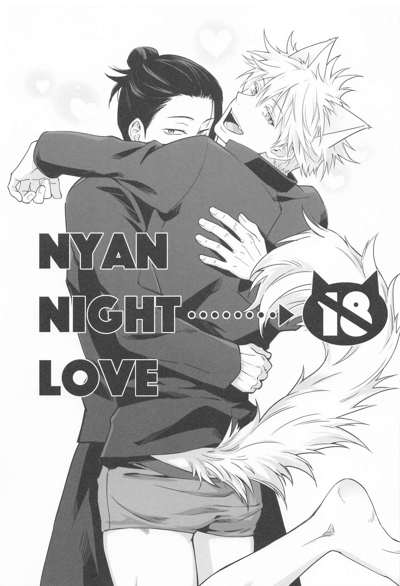 NYAN NIGHT LOVE 2