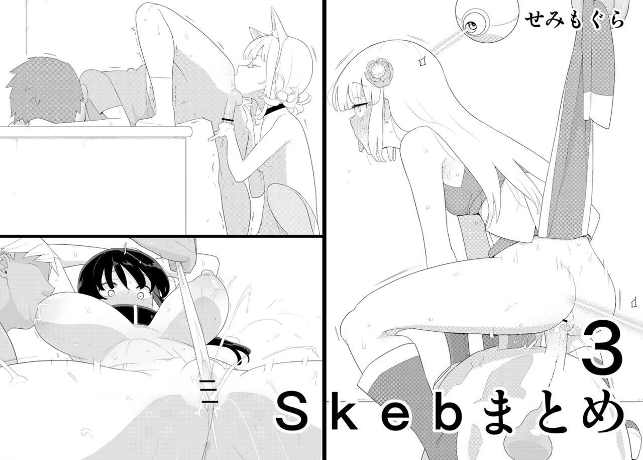 Skebまとめ3 [せみもぐら (由家)]  0