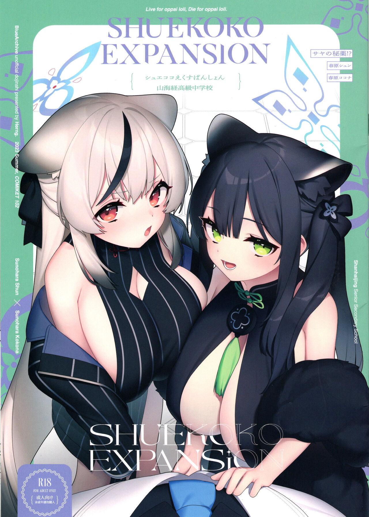 SHUEKOKO EXPANSION (C102) [很入骨 (へるんぐ)] (ブルーアーカイブ) 0