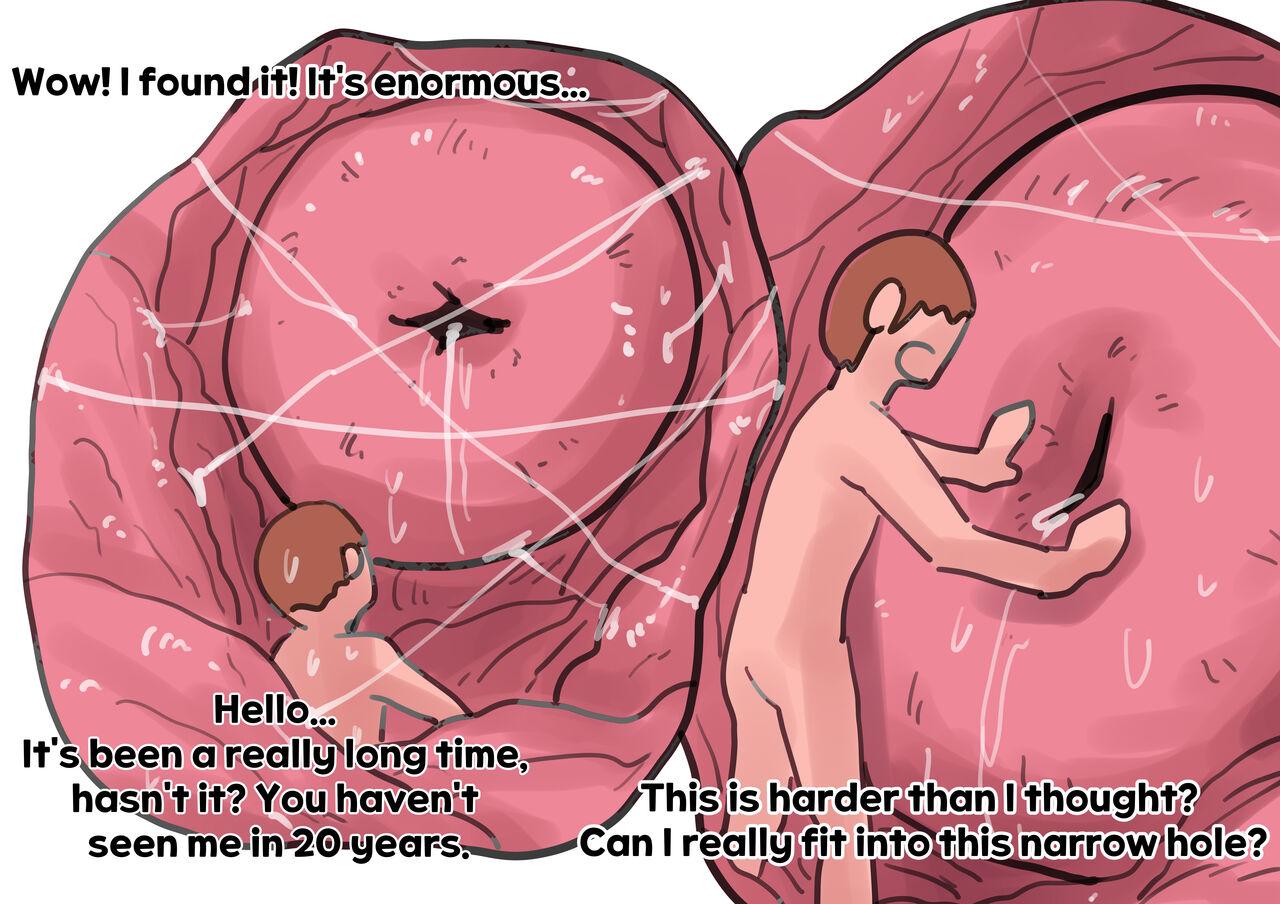 Exploration of the mother's uterus 103