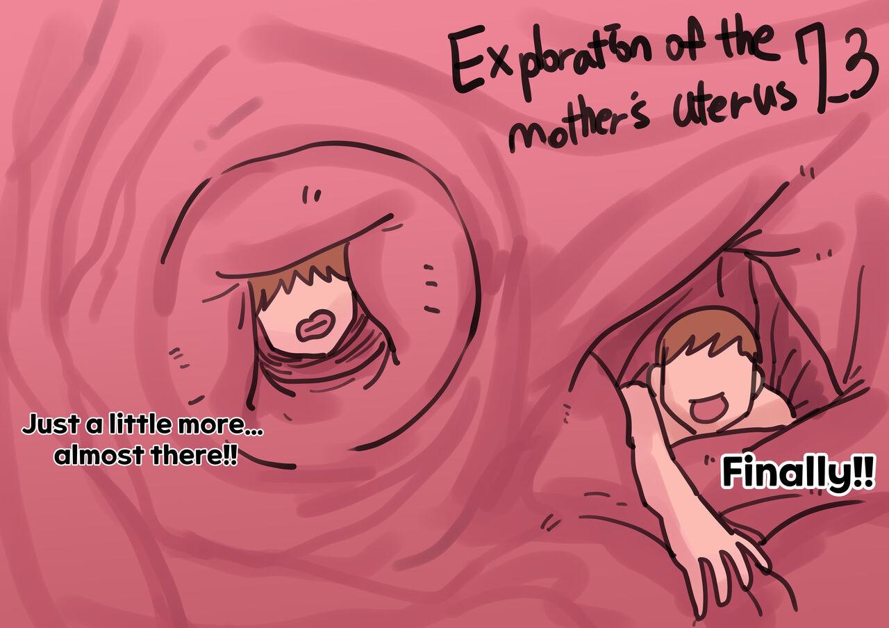 Exploration of the mother's uterus 109