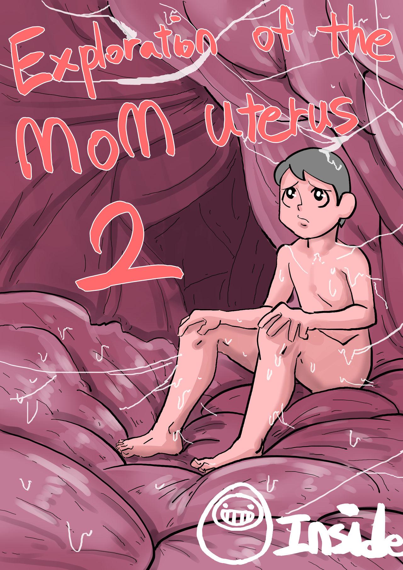 Exploration of the mother's uterus 16