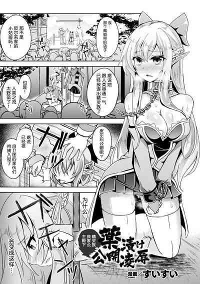 Ryouke no Ojou-sama Elf, Kusurizuke Koukai Ryoujoku | 精靈族良家公主殿下薬漬け公開陵辱 1