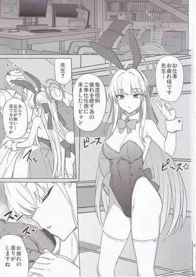 Bunny Archive 2