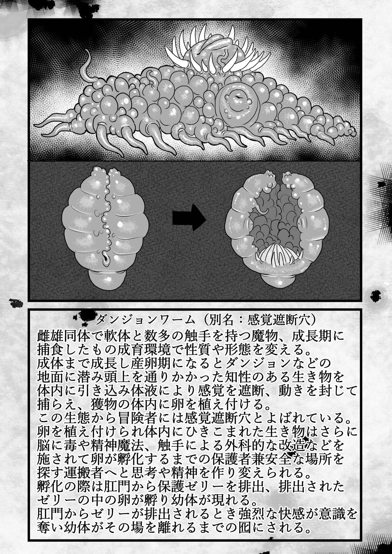 Frieren to Kankaku Shadan Ana 33