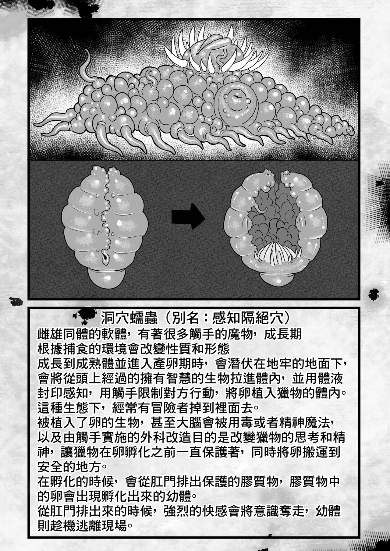 Frieren to Kankaku Shadan Ana | 芙莉蓮與感覚遮断穴 33