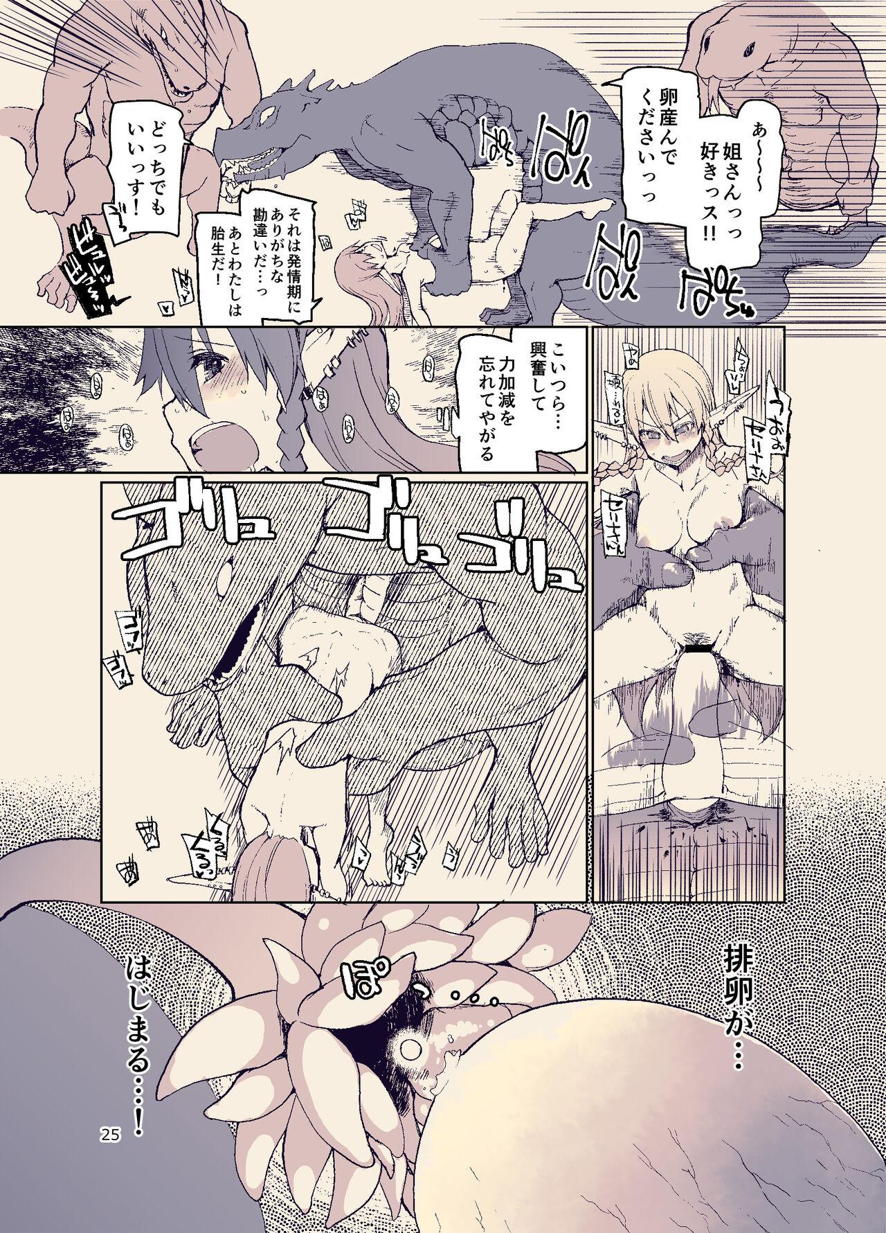 Dosukebe Elf no Ishukan Nikki 11 27