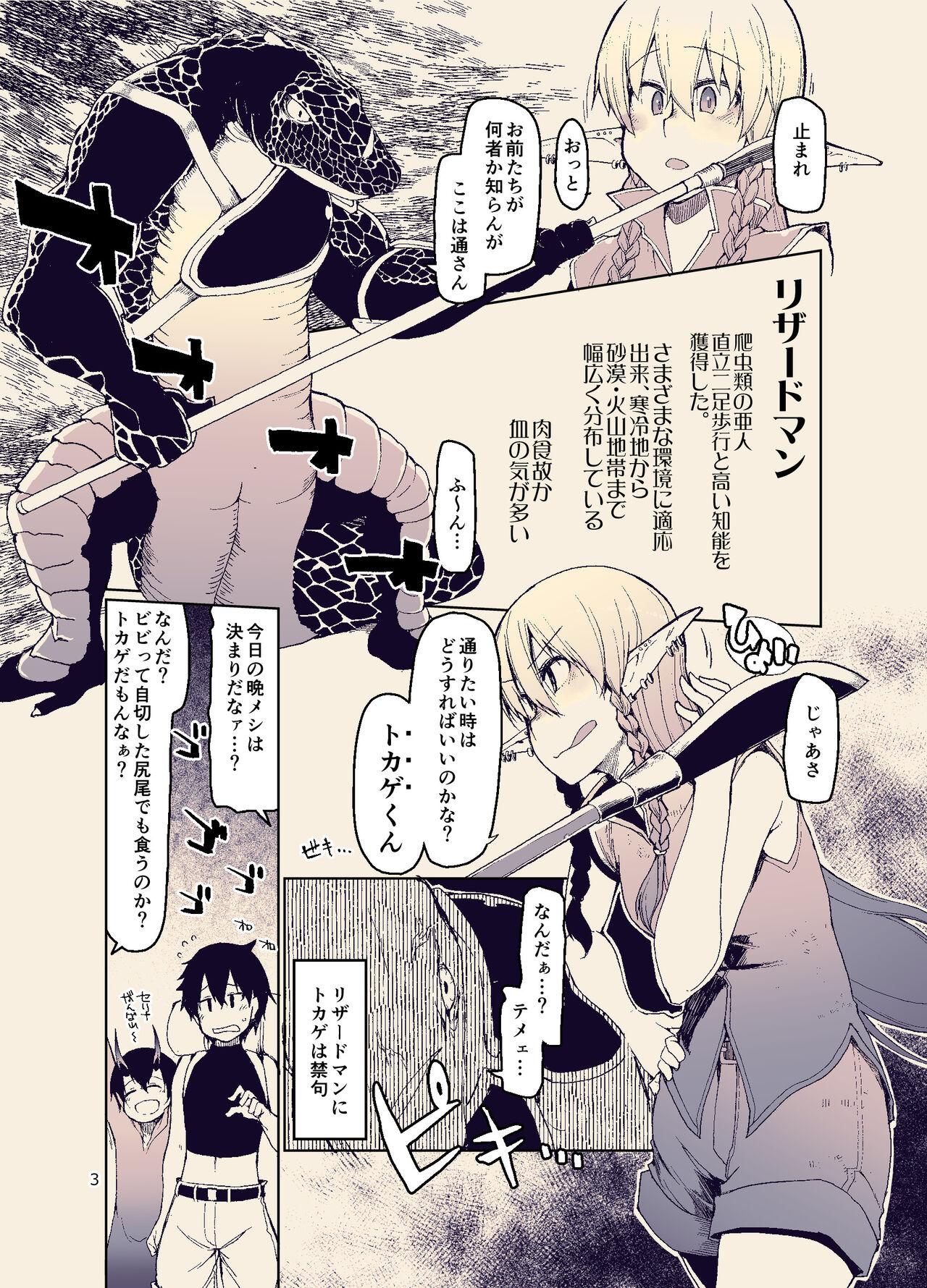 Dosukebe Elf no Ishukan Nikki 11 5