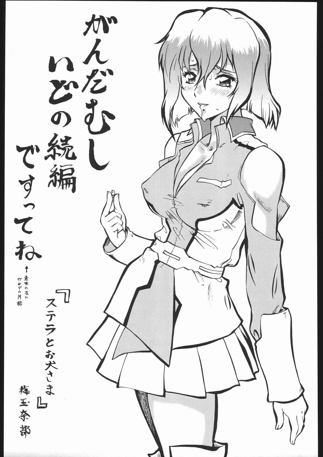 Best Blow Job Keijirou Nan.Demo-R Nikki - Gundam seed destiny Tribbing - Picture 3