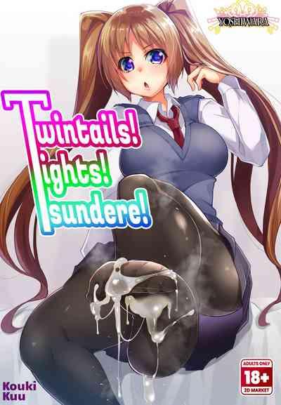 Twintails! Tights! Tsundere! 0