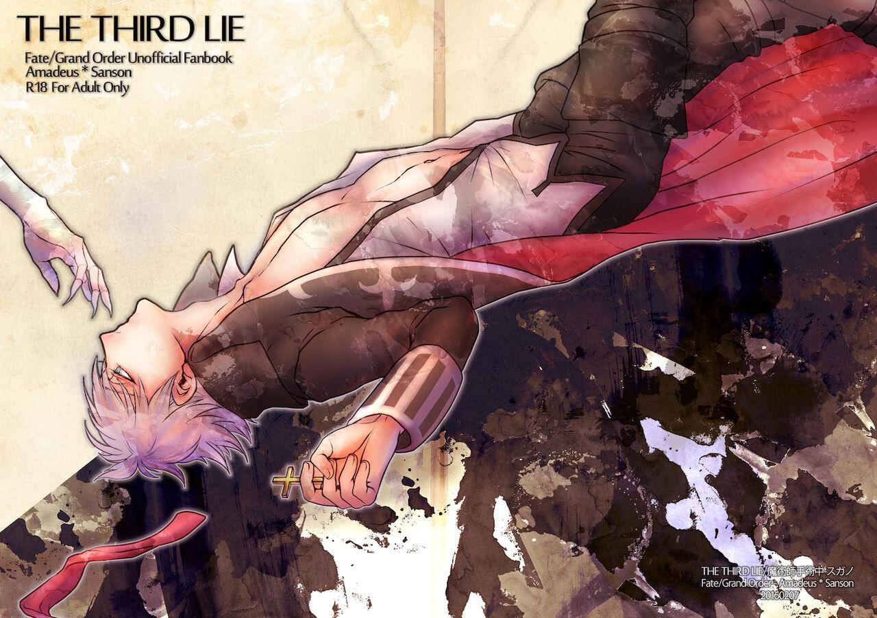 THE THIRD LIE [魔術師手術中 (スガノ)] (Fate/Grand Order) [DL版] 0
