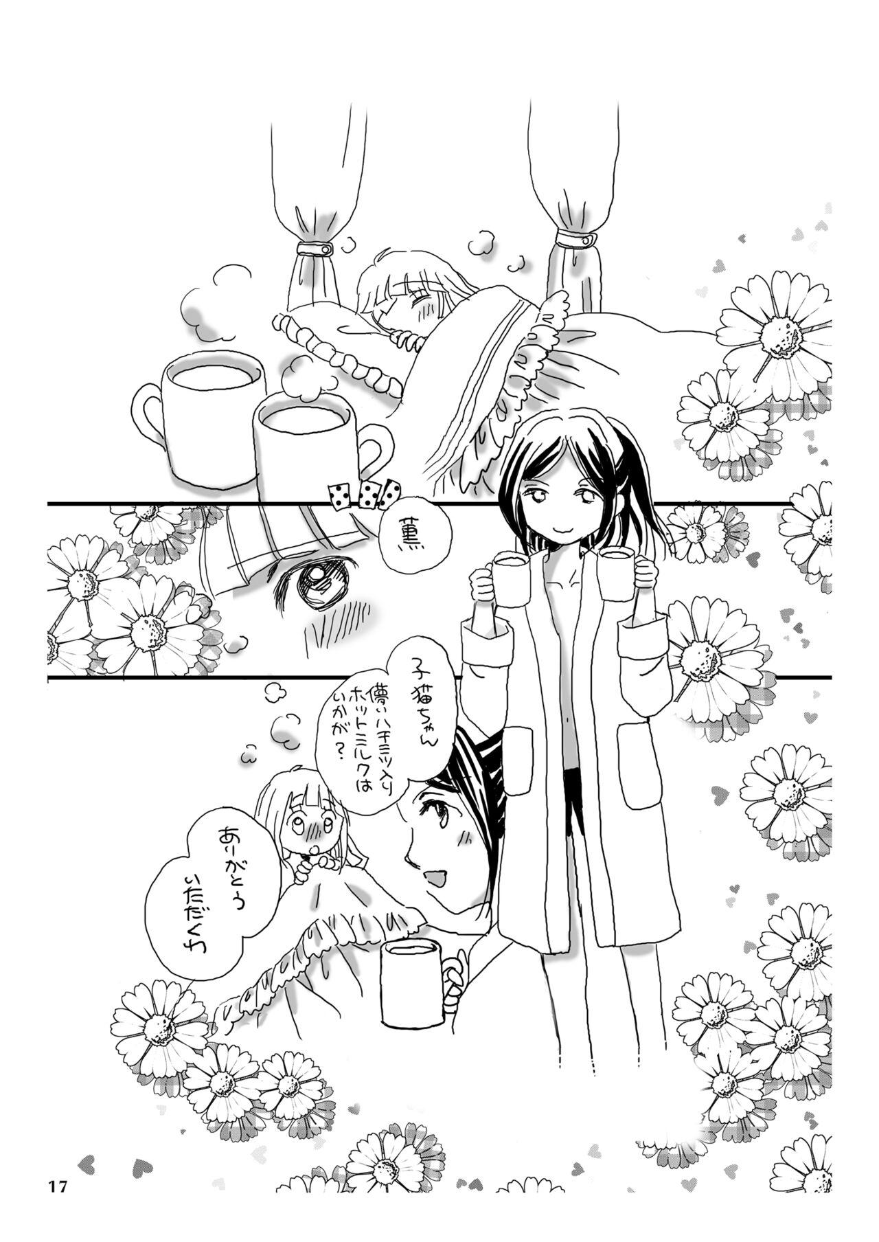 Hakanaki Koneko-tachi no Himegoto - Page 17