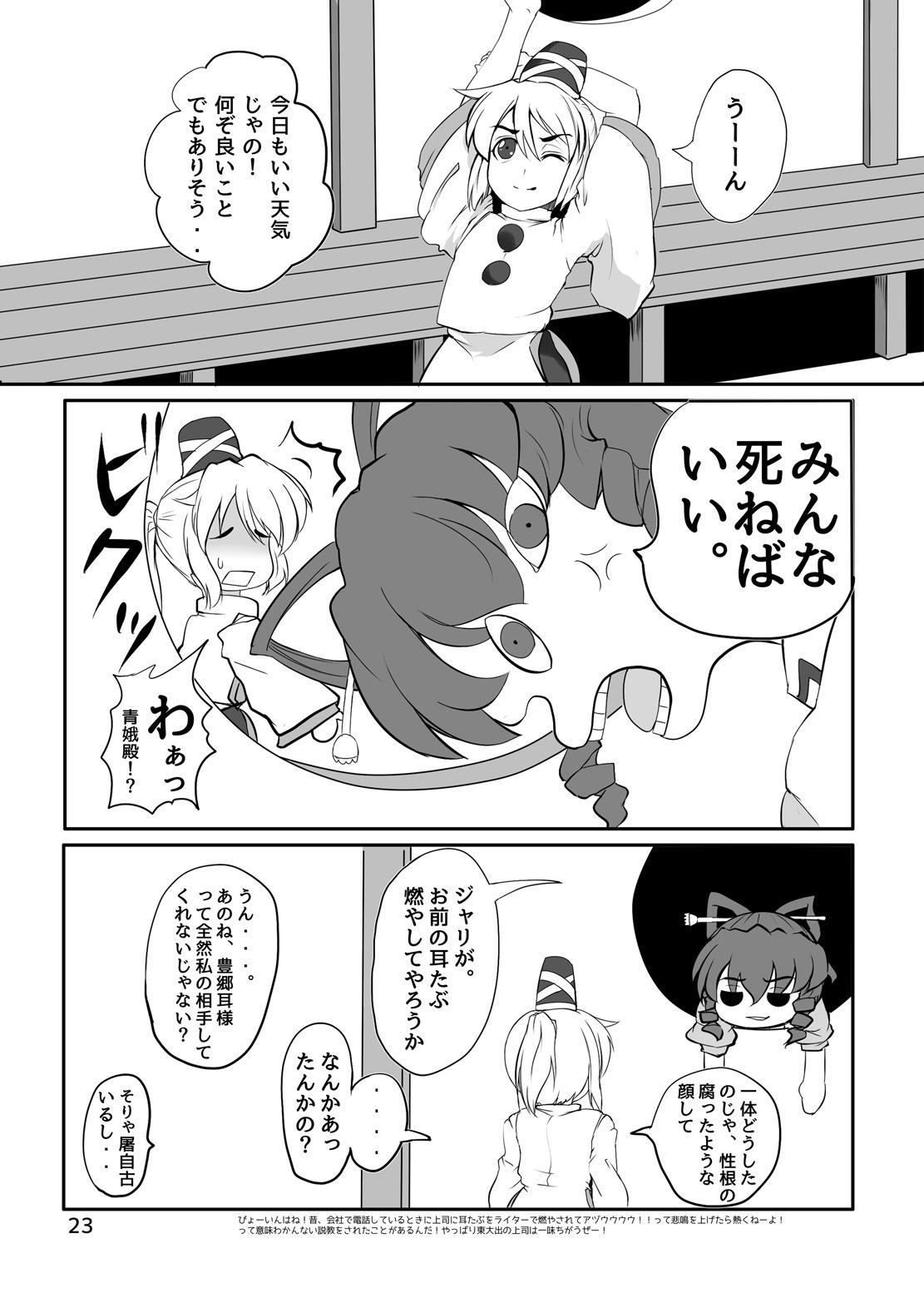 東方やけくそ 23