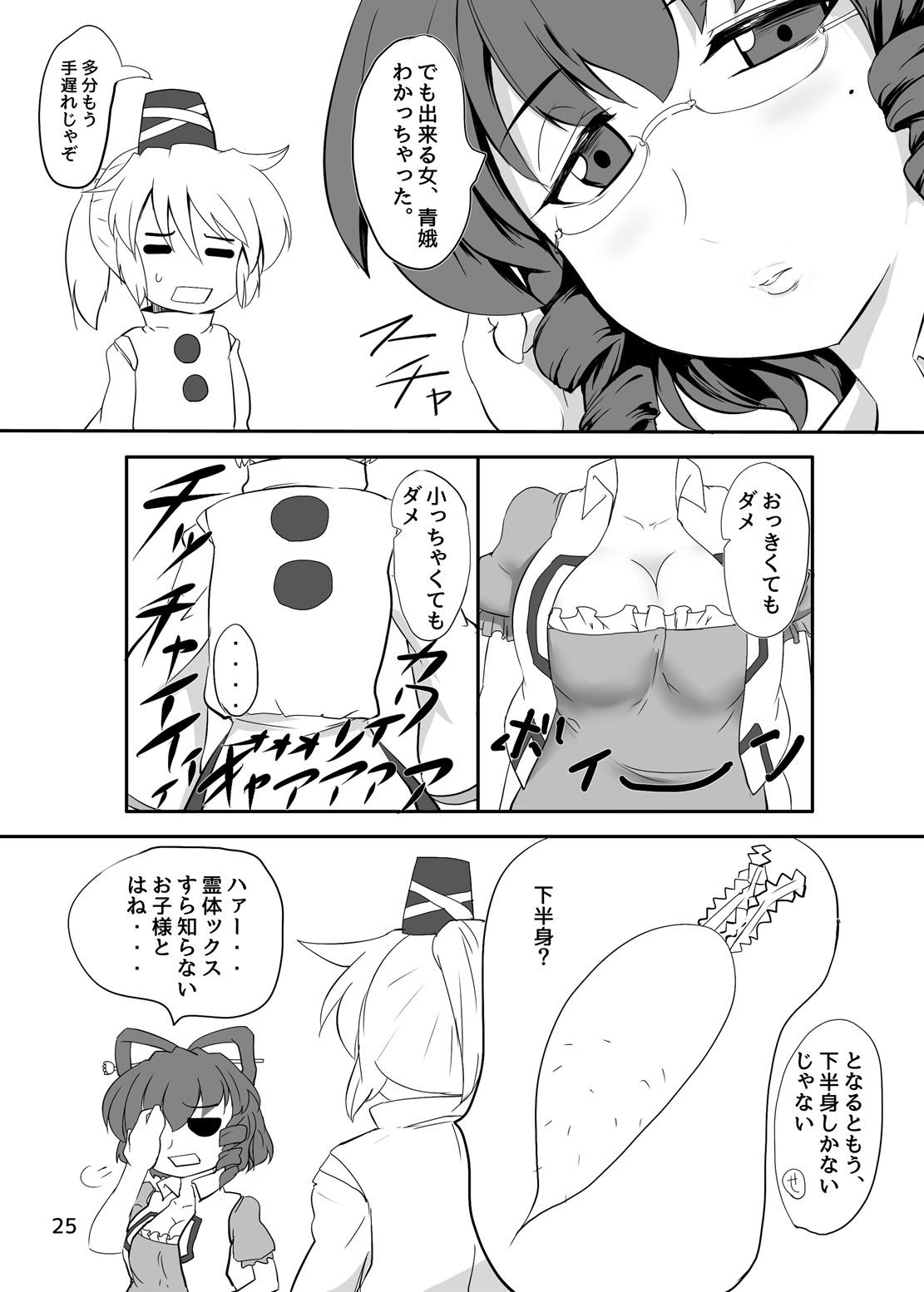 東方やけくそ 25