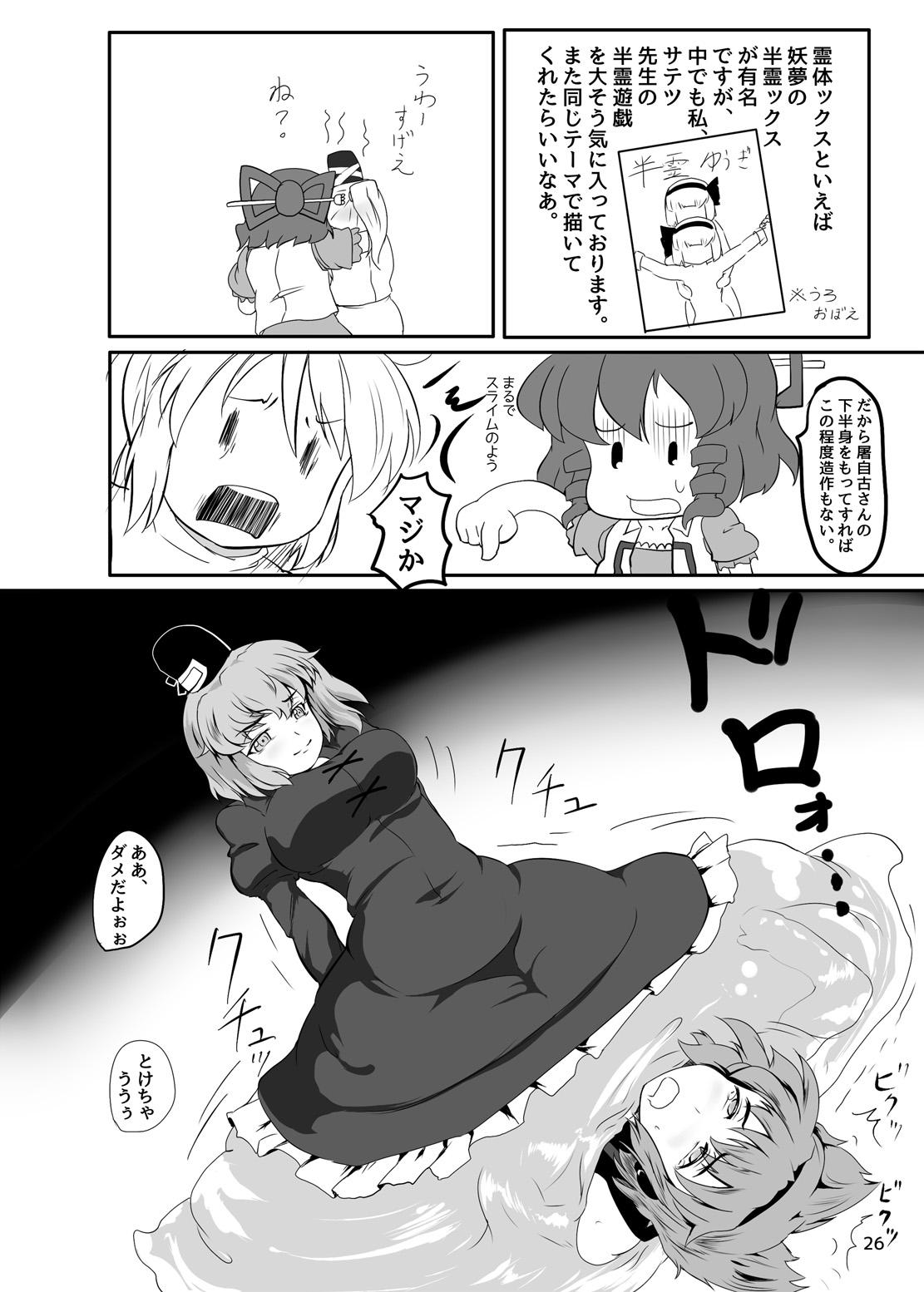 東方やけくそ 27