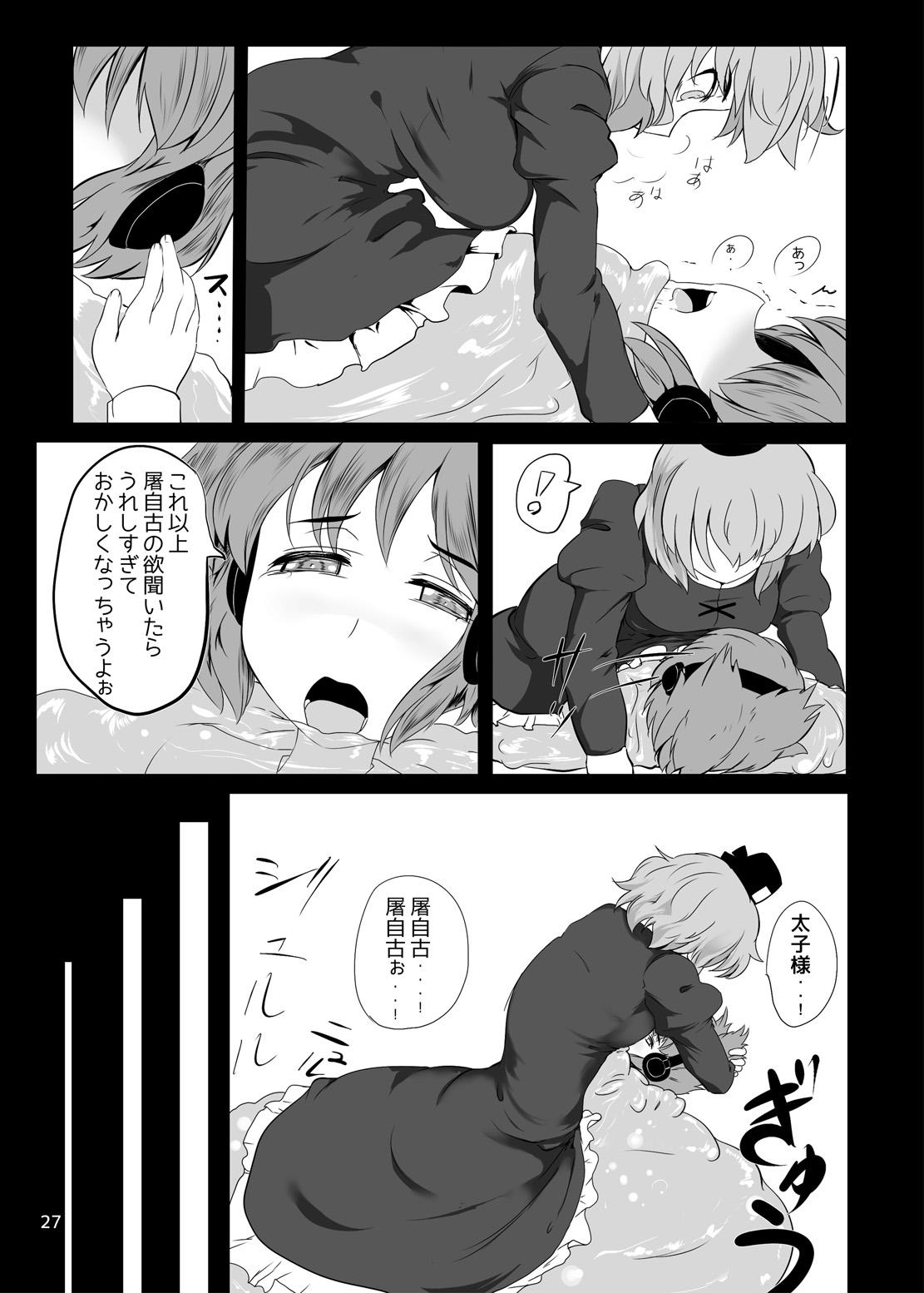 東方やけくそ 28