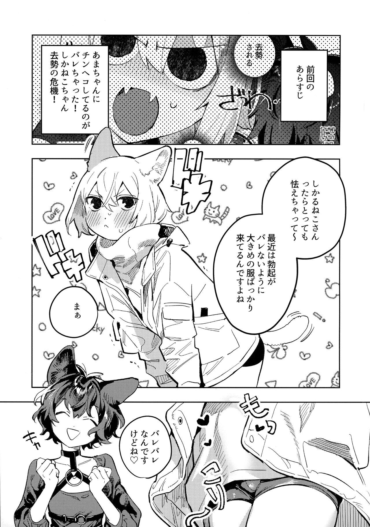 Neko-chan Life Sumeragi - Page 3
