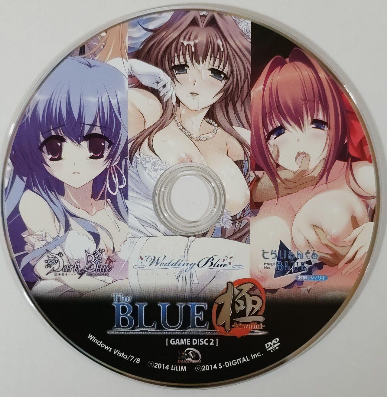 The BLUE 極 Boxart and Manual 3