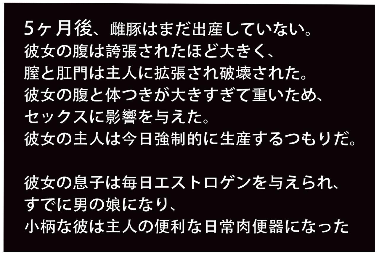 雌豚奴隷母,孕ませられる～後編 11