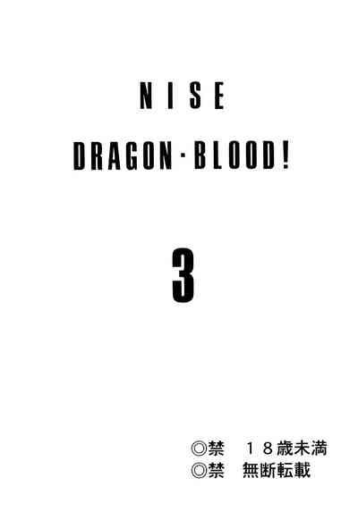 NISE Dragon Blood! 3. 1