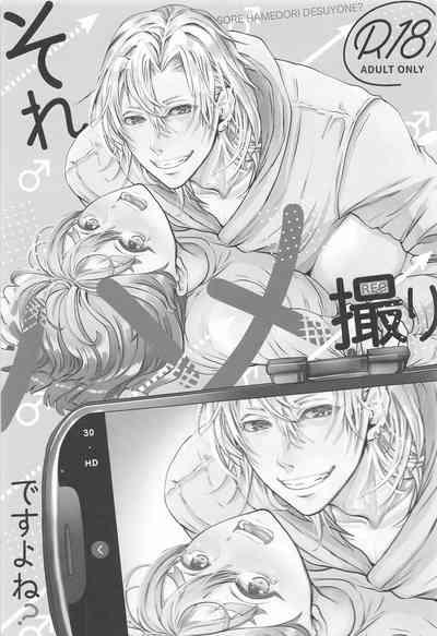 Sore Hamedori desu yo ne? 4