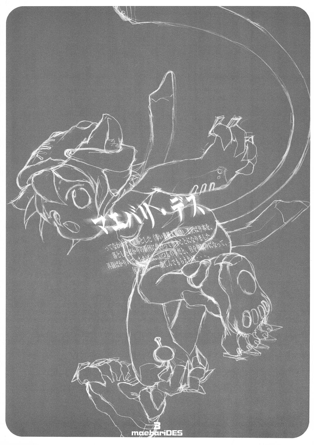 maebari DES - Page 3