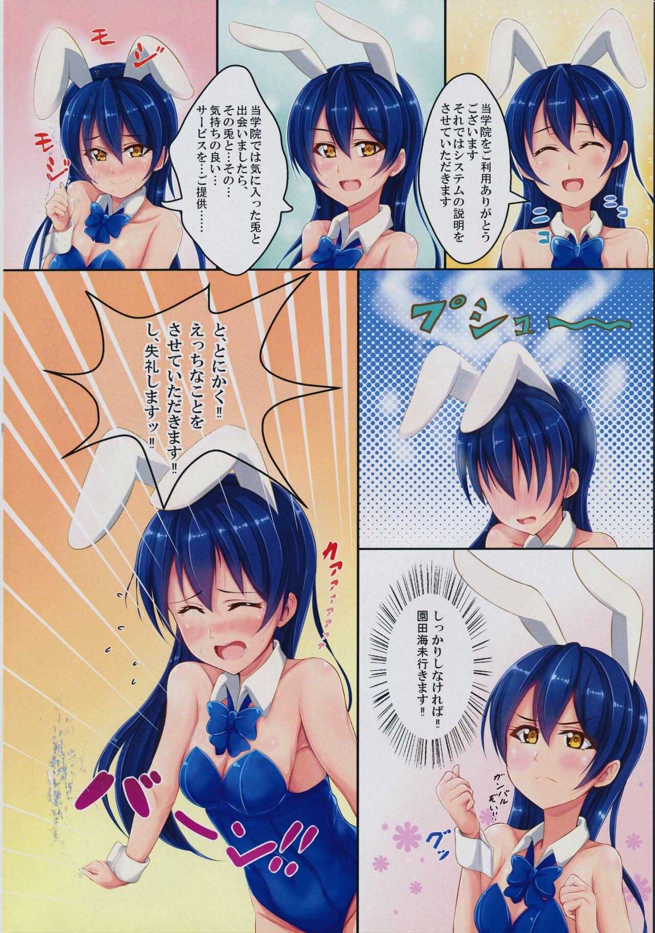 UMI BUNNY 2