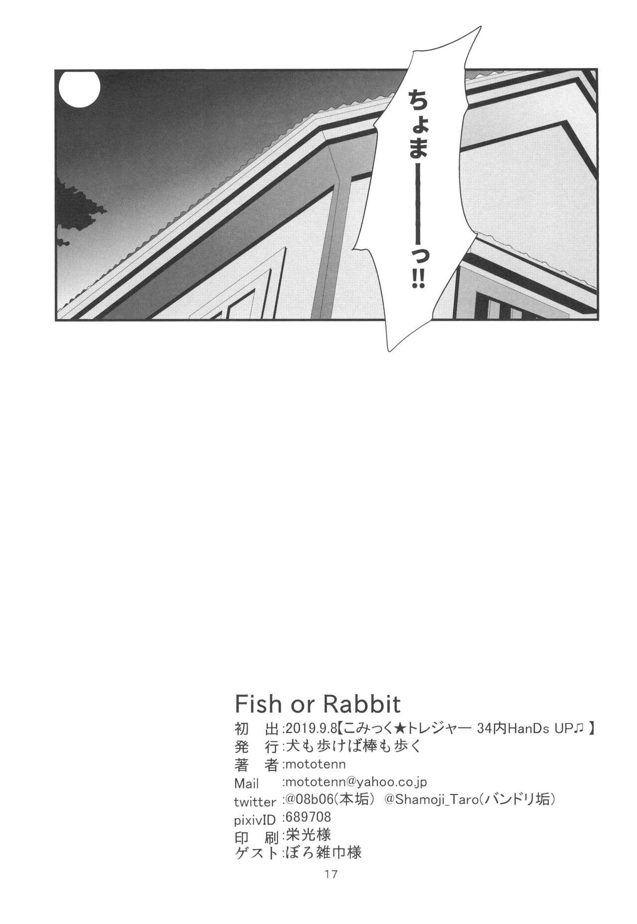 Fish or Rabbit 16