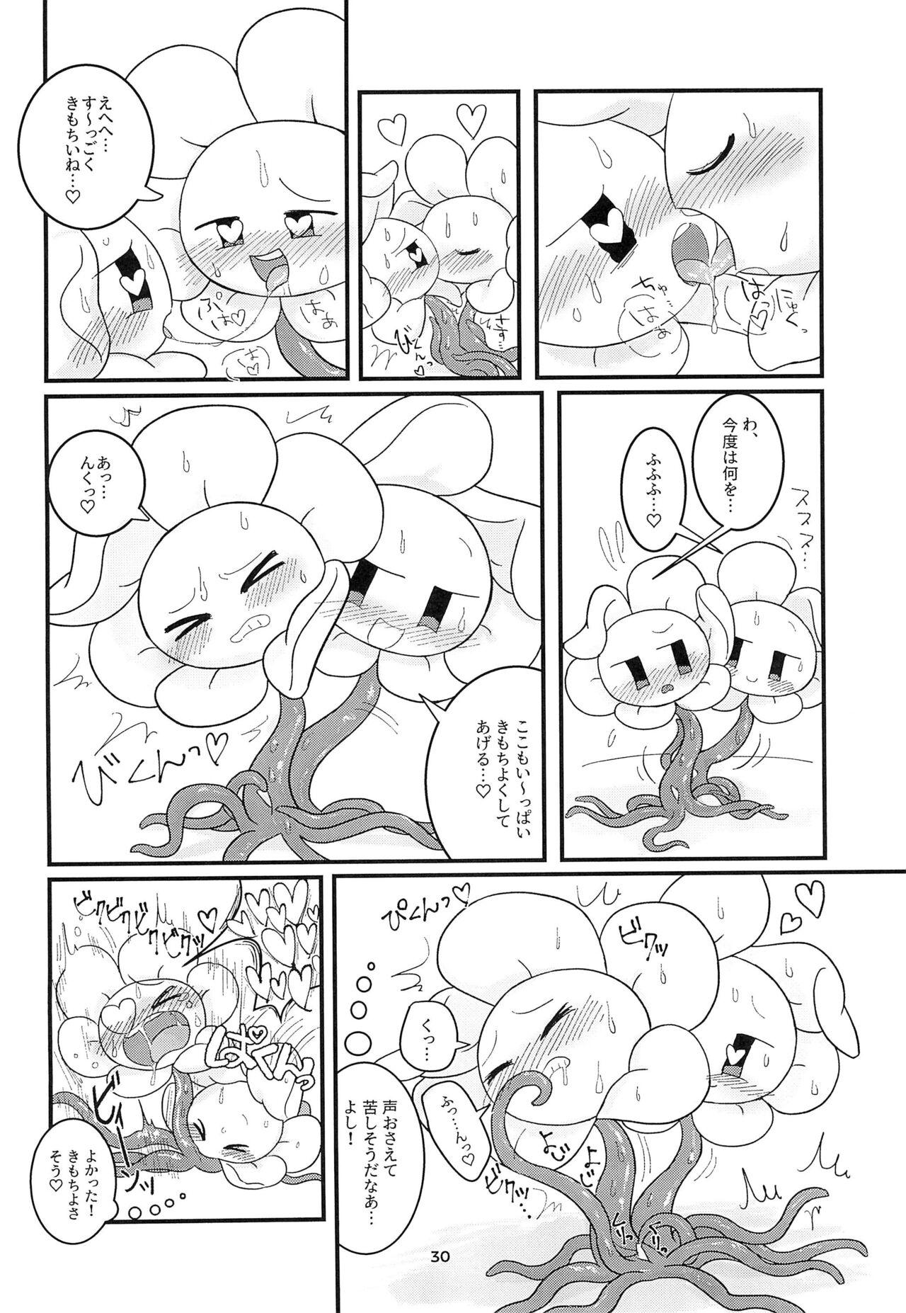 The Pollination 29