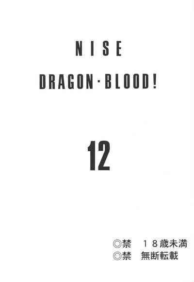 Nise DRAGON BLOOD! 12 1