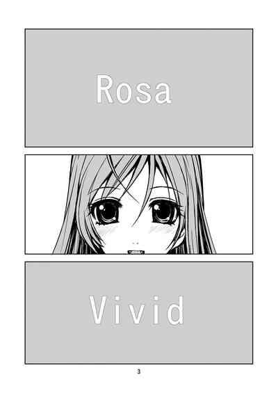 RV - Rosa Viva 2