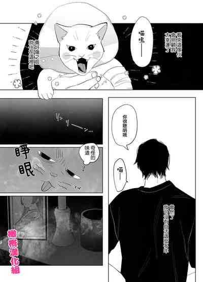 bake neko to mibōjin｜猫与未亡人 6