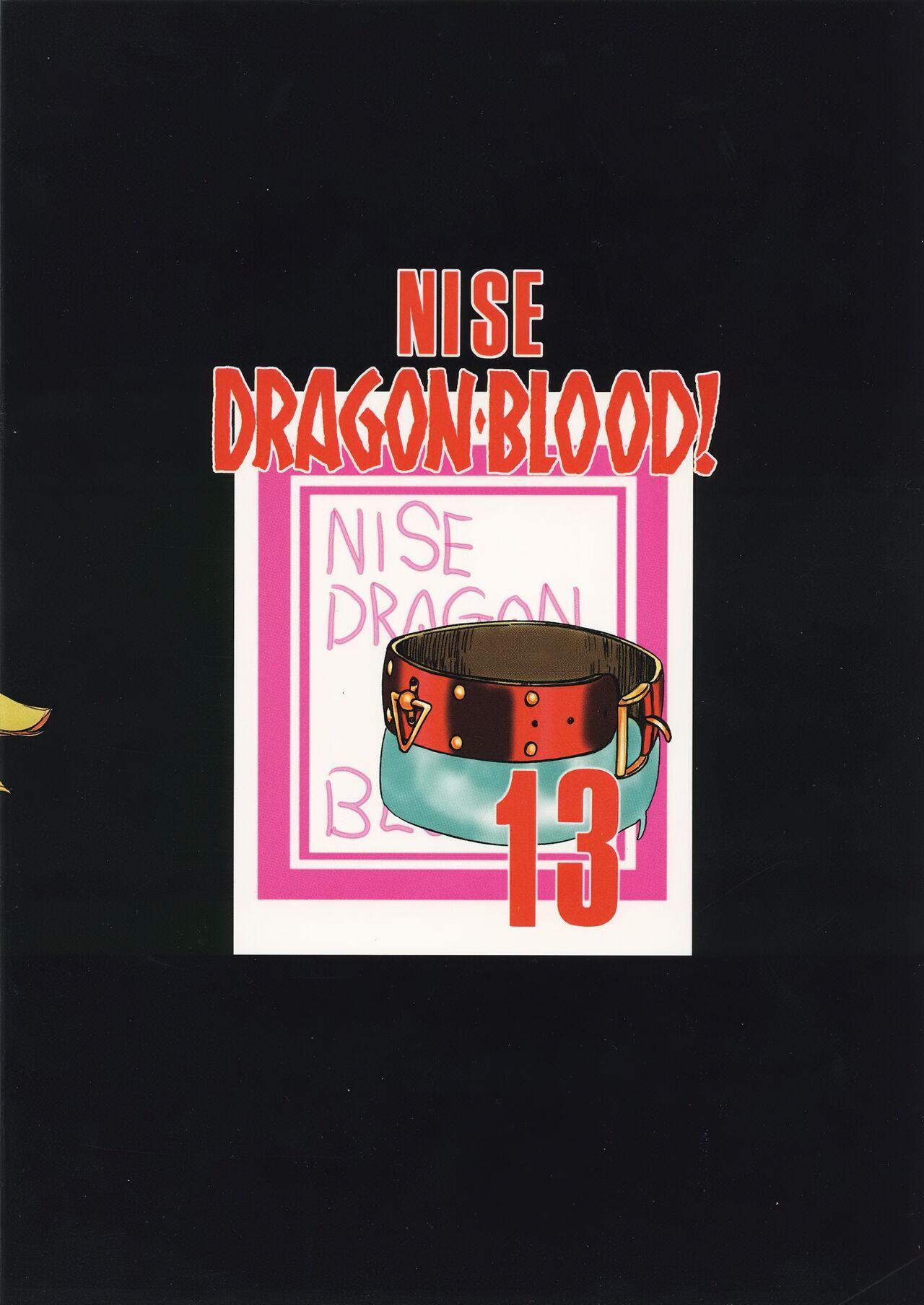 Nise DRAGON BLOOD! 13 1