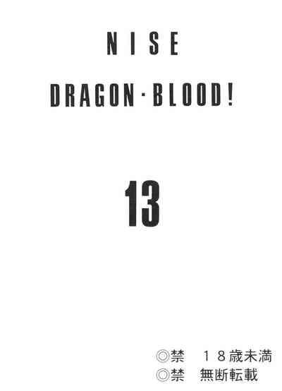 Nise DRAGON BLOOD! 13 2