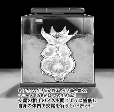 【衝撃】触手生物の巣穴にメスを入れてみた結果がヤバすぎた… 2