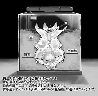 【衝撃】触手生物の巣穴にメスを入れてみた結果がヤバすぎた… 6