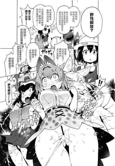 Kedamono Friends Surprise 2