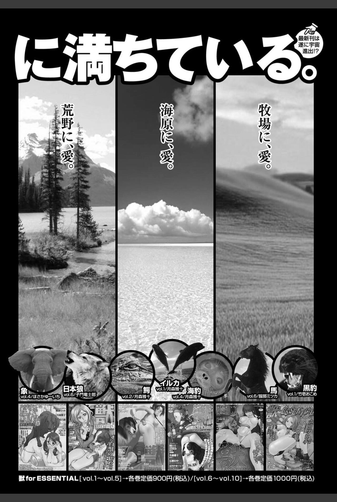 Bishoujo Kakumei KIWAME 2010-12 Vol.11 165