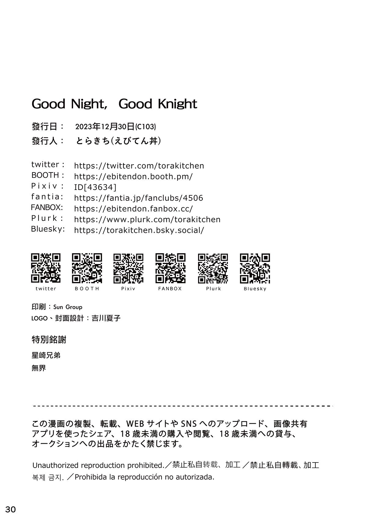 Good Night, Good Knight 28