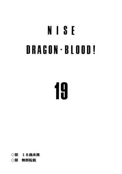 Nise DRAGON BLOOD! 19 2