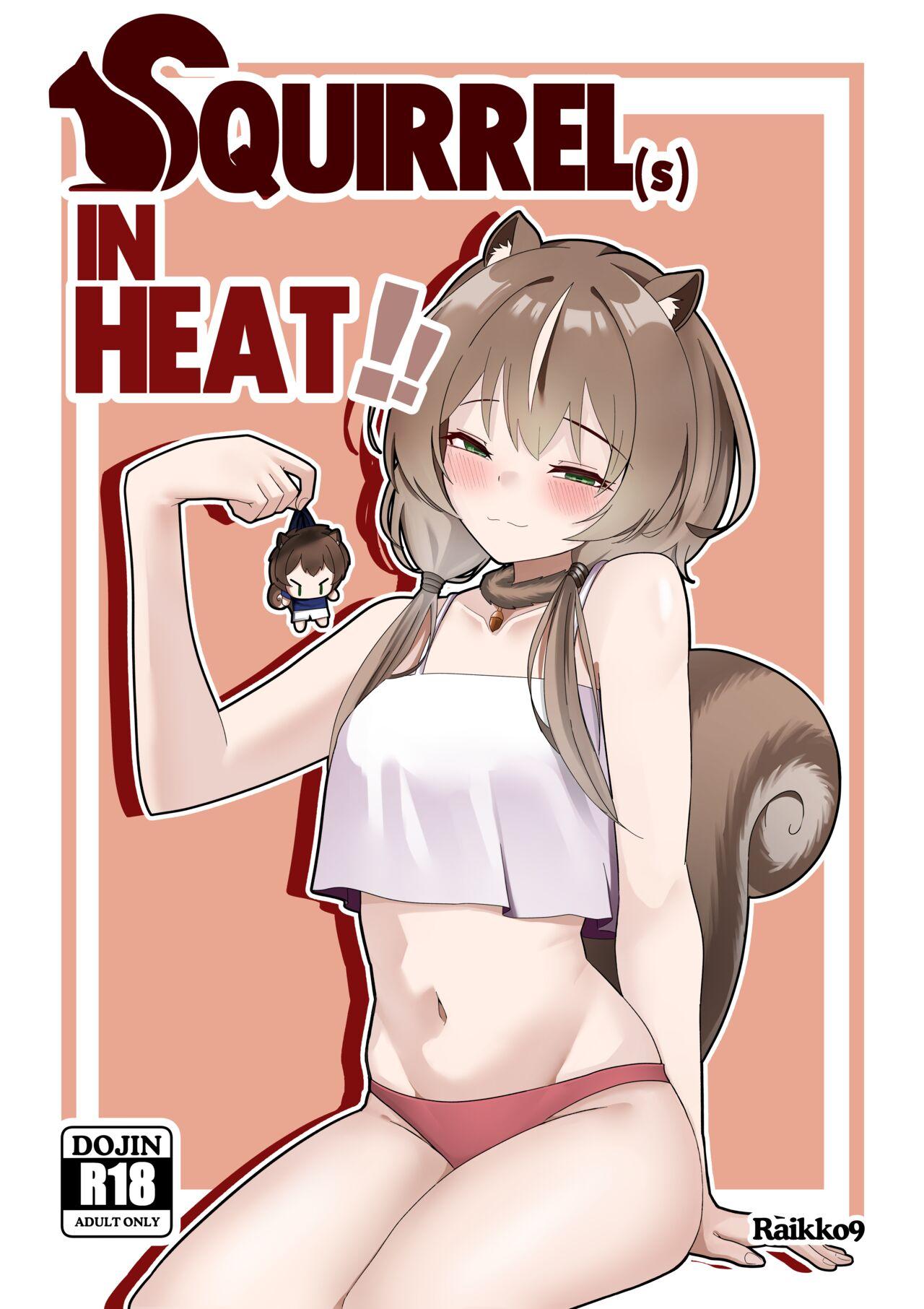 SQUIRRELS IN HEAT 0