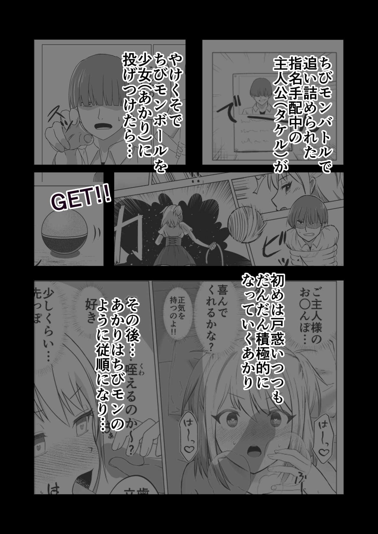 お金持ちの女の子をGETして 自分好みのメス犬に躾ける話。 4