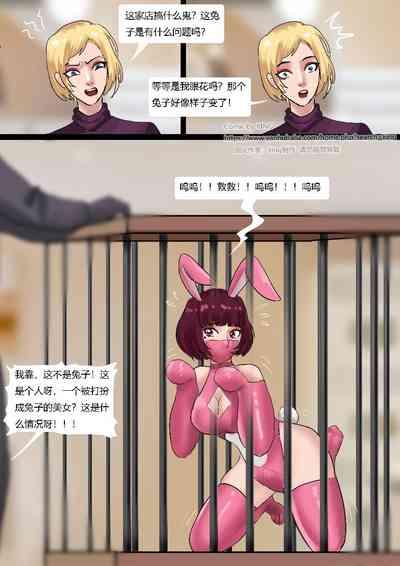 Petshop 4