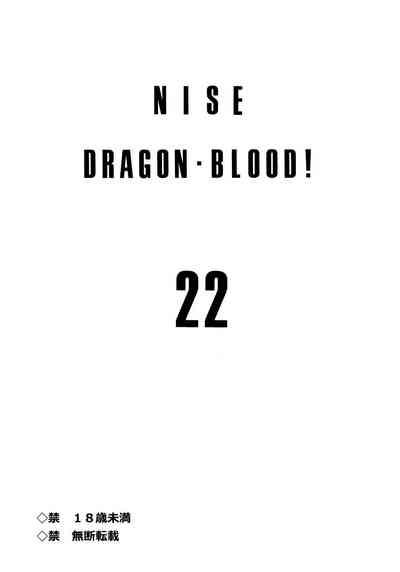 Nise DRAGON BLOOD! 22 2