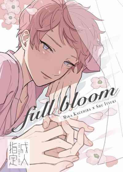 Full Bloom 1