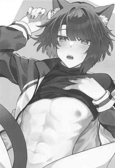 Matsui Neko-chan Hatsujouki! 2