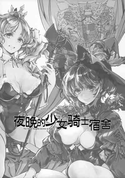 The Virgin Knights secrets at Night | 夜晚的少女骑士宿舍 3